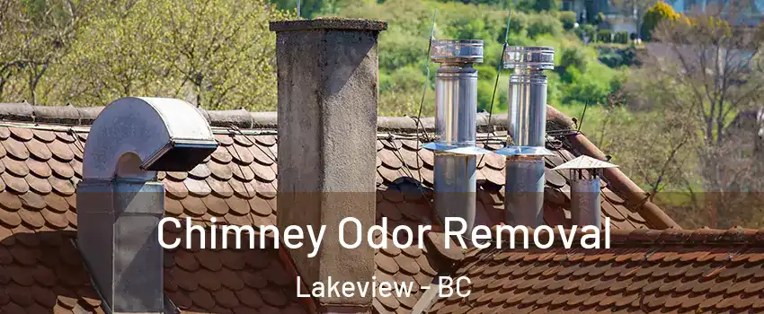  Chimney Odor Removal Lakeview - BC