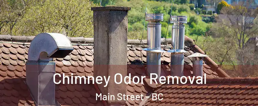  Chimney Odor Removal Main Street - BC