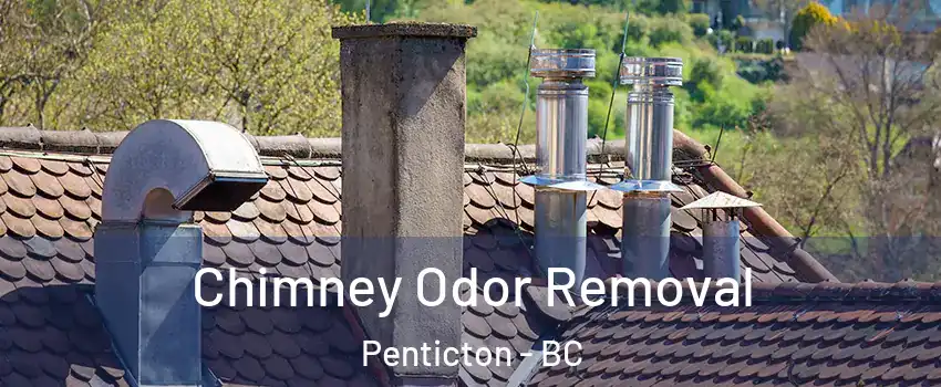  Chimney Odor Removal Penticton - BC