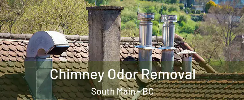  Chimney Odor Removal South Main - BC
