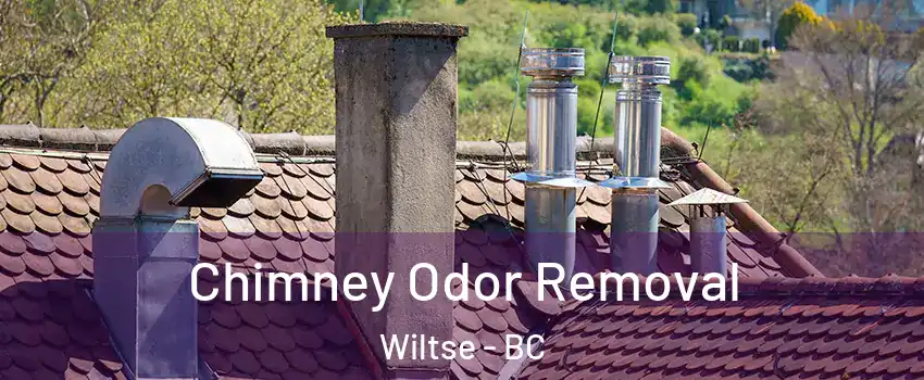  Chimney Odor Removal Wiltse - BC