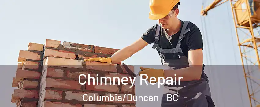 Chimney Repair Columbia/Duncan - BC