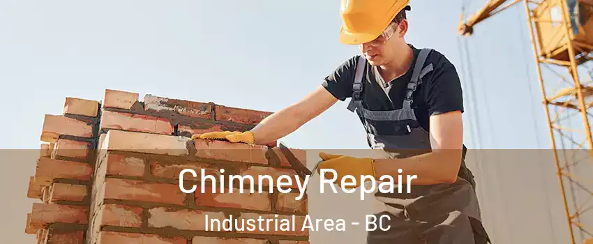  Chimney Repair Industrial Area - BC