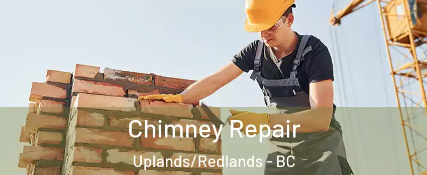  Chimney Repair Uplands/Redlands - BC
