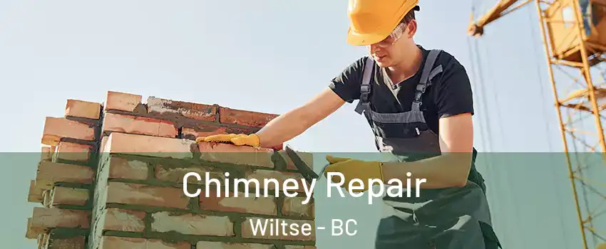  Chimney Repair Wiltse - BC