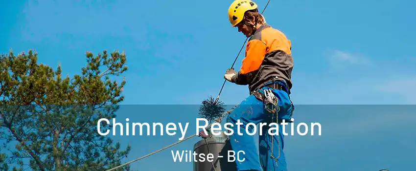  Chimney Restoration Wiltse - BC