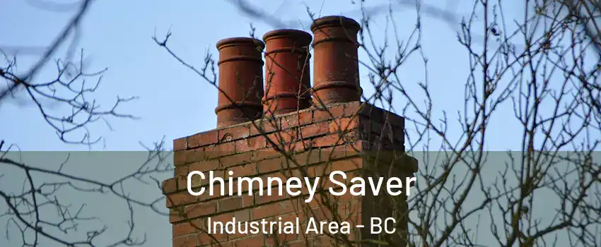  Chimney Saver Industrial Area - BC