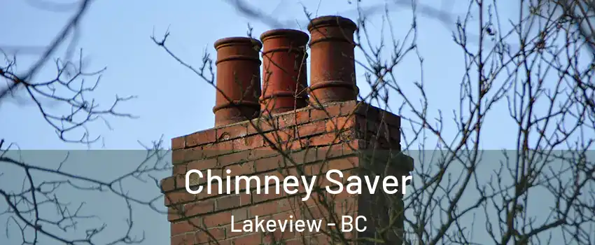 Chimney Saver Lakeview - BC
