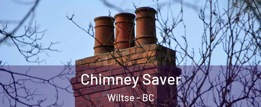  Chimney Saver Wiltse - BC