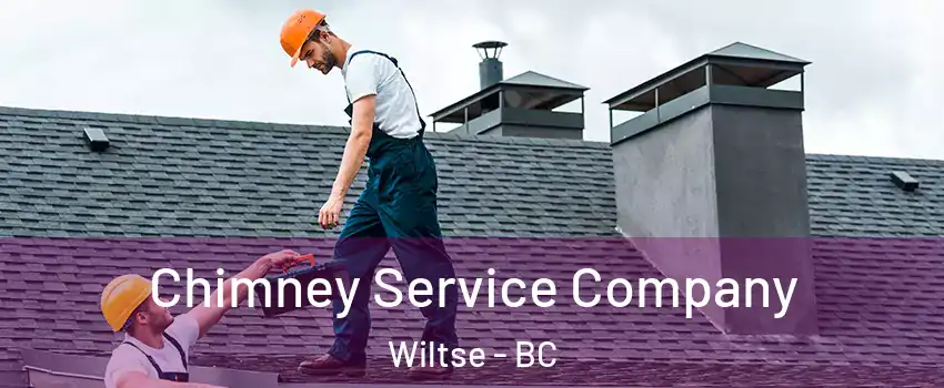  Chimney Service Company Wiltse - BC