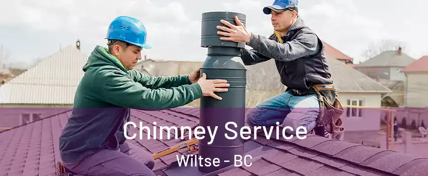  Chimney Service Wiltse - BC