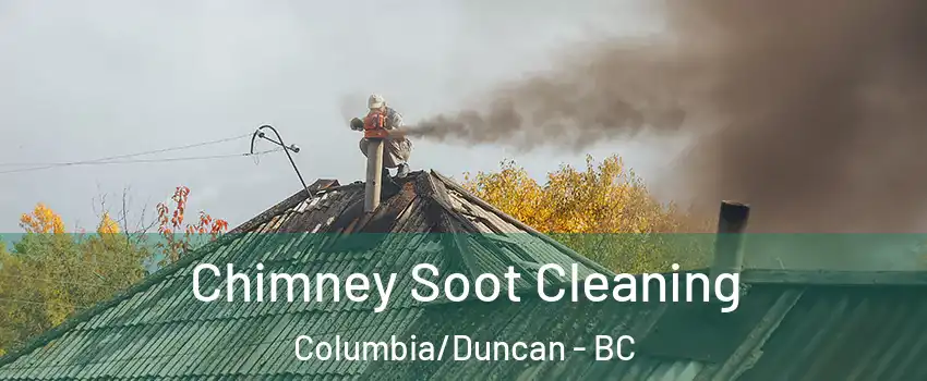  Chimney Soot Cleaning Columbia/Duncan - BC