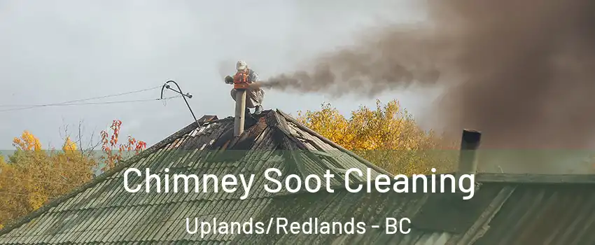  Chimney Soot Cleaning Uplands/Redlands - BC