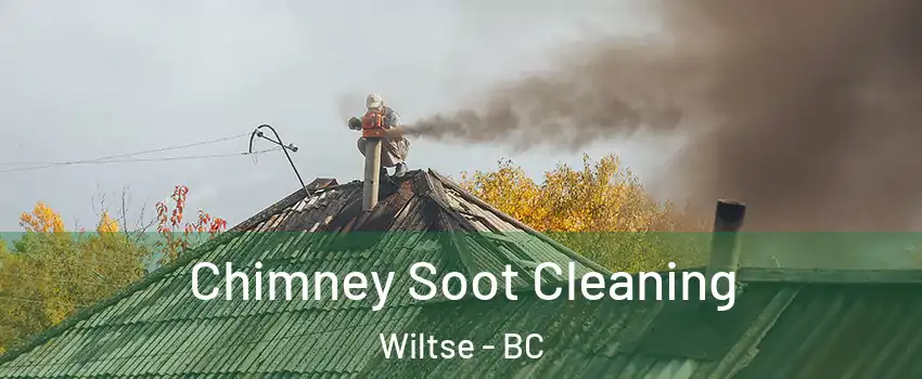  Chimney Soot Cleaning Wiltse - BC