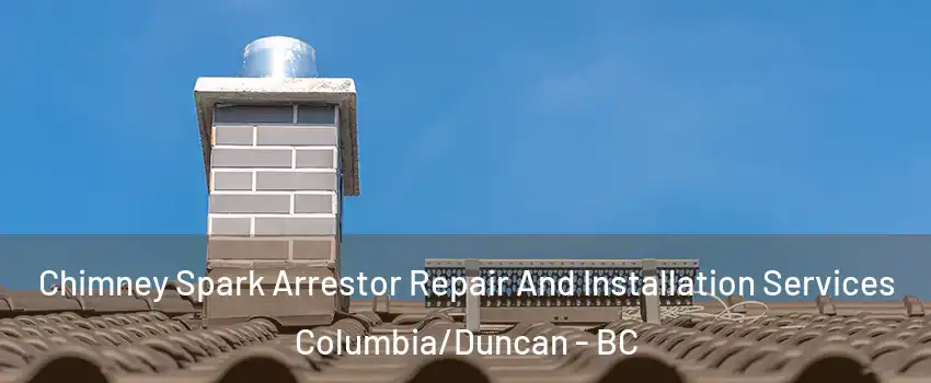  Chimney Spark Arrestor Repair And Installation Services Columbia/Duncan - BC