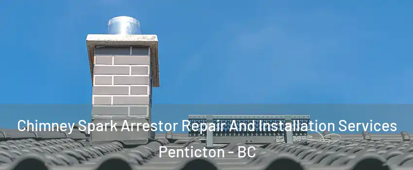  Chimney Spark Arrestor Repair And Installation Services Penticton - BC