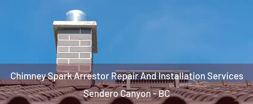  Chimney Spark Arrestor Repair And Installation Services Sendero Canyon - BC