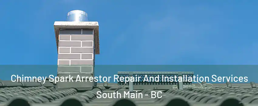  Chimney Spark Arrestor Repair And Installation Services South Main - BC