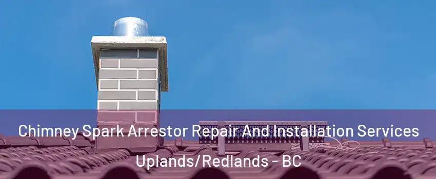  Chimney Spark Arrestor Repair And Installation Services Uplands/Redlands - BC
