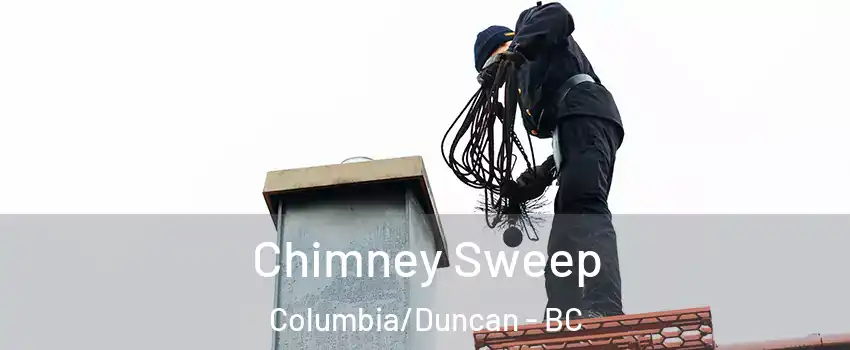  Chimney Sweep Columbia/Duncan - BC