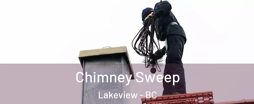  Chimney Sweep Lakeview - BC