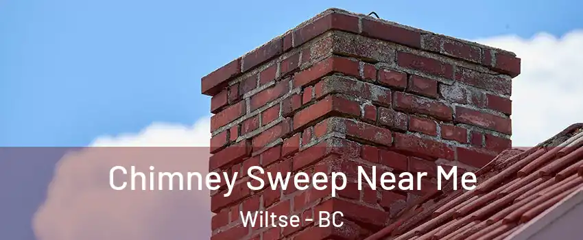  Chimney Sweep Near Me Wiltse - BC