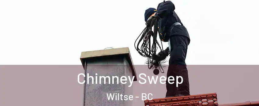  Chimney Sweep Wiltse - BC