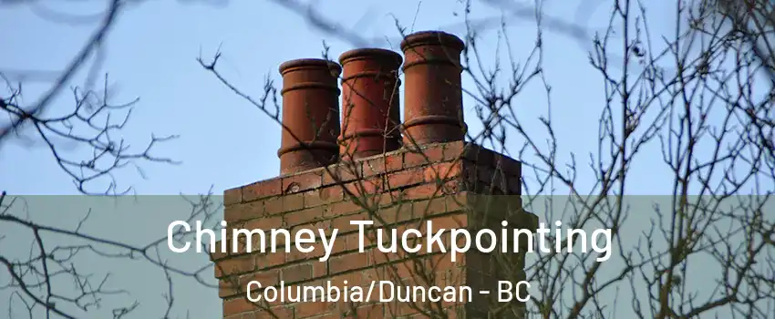  Chimney Tuckpointing Columbia/Duncan - BC