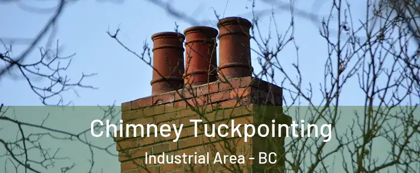  Chimney Tuckpointing Industrial Area - BC