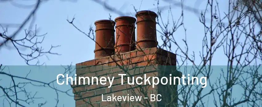 Chimney Tuckpointing Lakeview - BC
