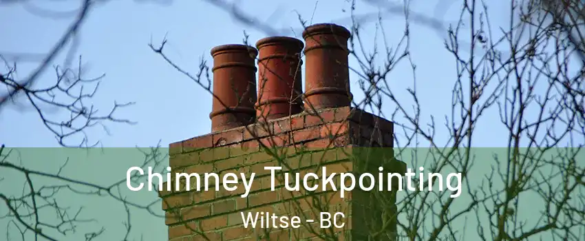  Chimney Tuckpointing Wiltse - BC