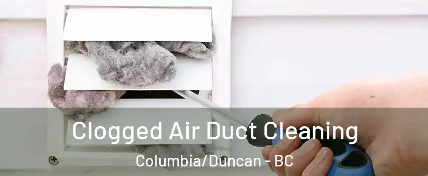  Clogged Air Duct Cleaning Columbia/Duncan - BC