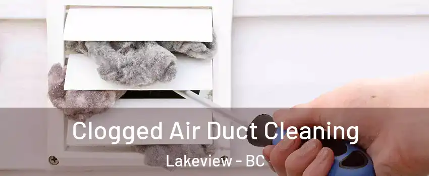  Clogged Air Duct Cleaning Lakeview - BC