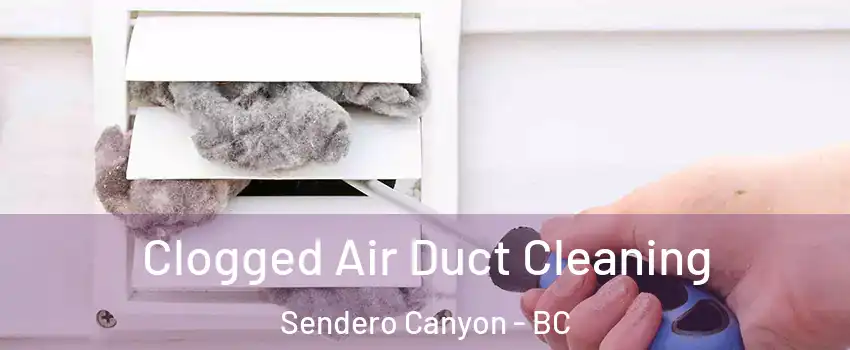  Clogged Air Duct Cleaning Sendero Canyon - BC