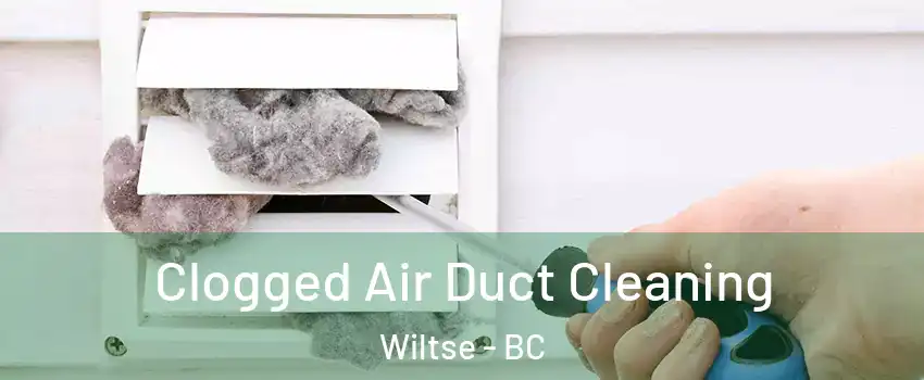  Clogged Air Duct Cleaning Wiltse - BC