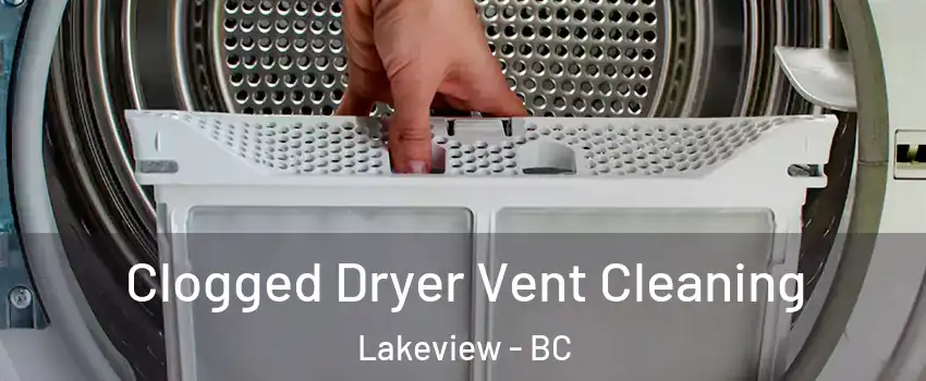  Clogged Dryer Vent Cleaning Lakeview - BC