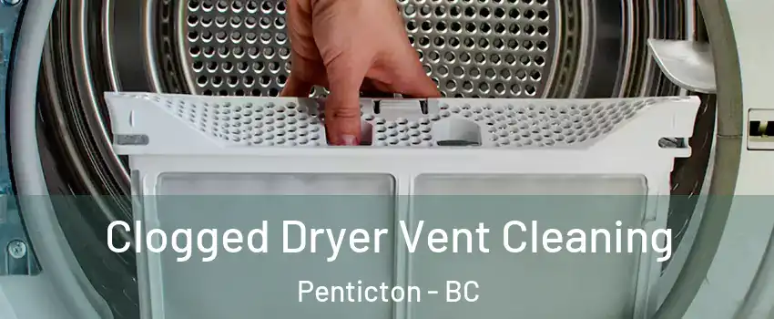  Clogged Dryer Vent Cleaning Penticton - BC