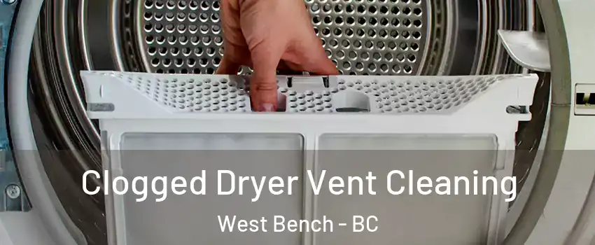  Clogged Dryer Vent Cleaning West Bench - BC