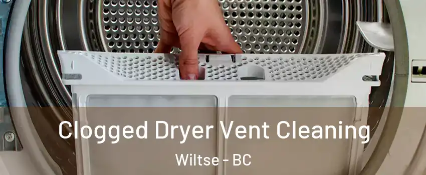  Clogged Dryer Vent Cleaning Wiltse - BC