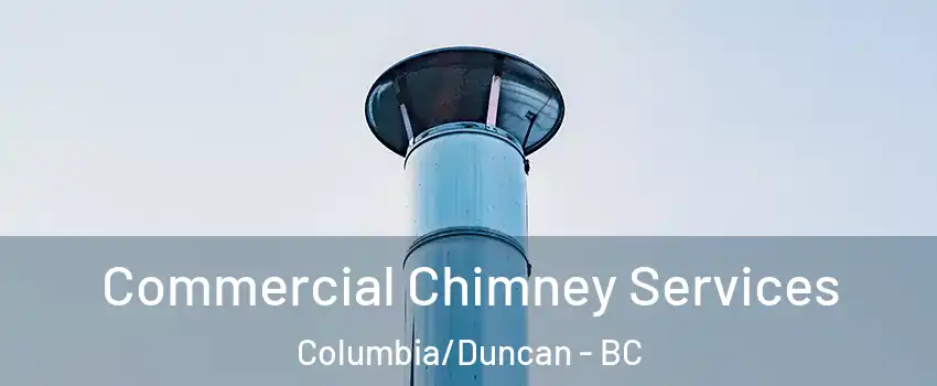  Commercial Chimney Services Columbia/Duncan - BC