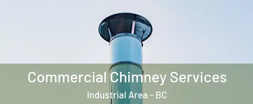  Commercial Chimney Services Industrial Area - BC