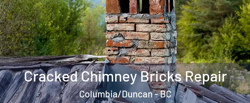 Cracked Chimney Bricks Repair Columbia/Duncan - BC