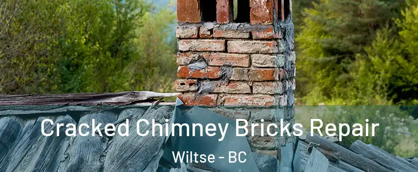  Cracked Chimney Bricks Repair Wiltse - BC