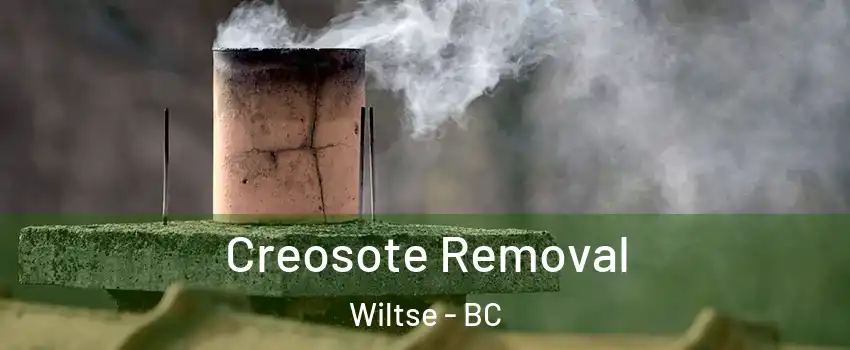 Creosote Removal Wiltse - BC