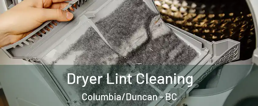  Dryer Lint Cleaning Columbia/Duncan - BC