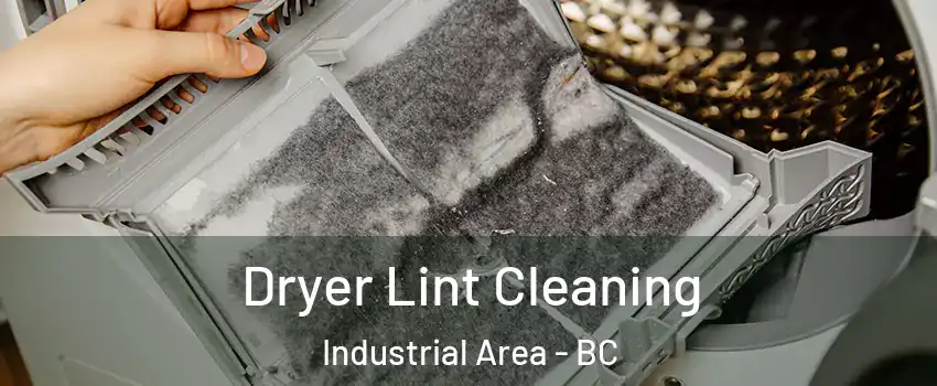  Dryer Lint Cleaning Industrial Area - BC