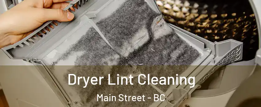  Dryer Lint Cleaning Main Street - BC