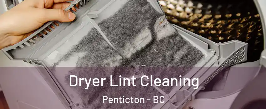  Dryer Lint Cleaning Penticton - BC