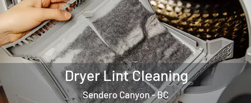  Dryer Lint Cleaning Sendero Canyon - BC