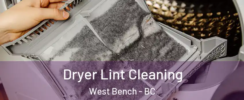  Dryer Lint Cleaning West Bench - BC